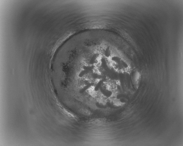 X0000061730721200512161621