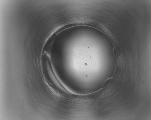 X0000061730722200512161621