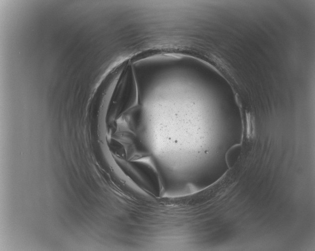 X0000061730723200512161621