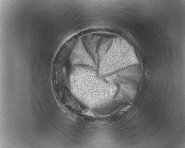 X0000061730724200512161621