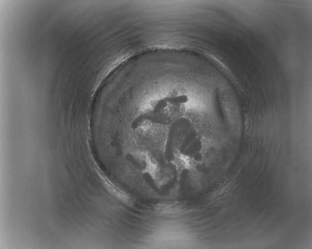 X0000061730725200512161621