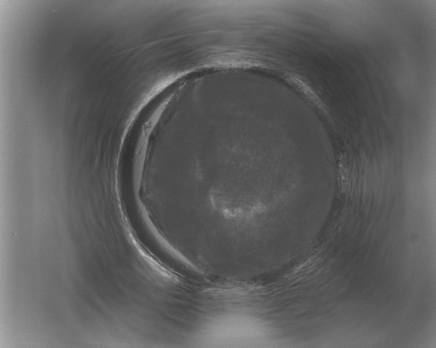 X0000061730726200512161621