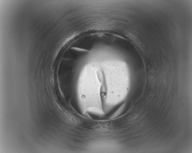 X0000061730727200512161621