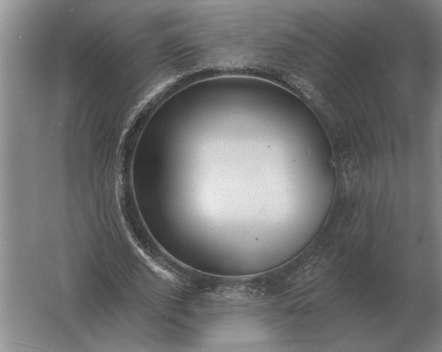 X0000061730728200512161621