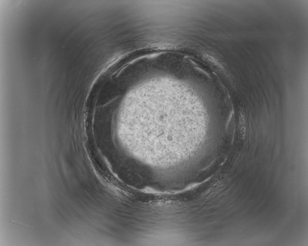 X0000061730730200512161621