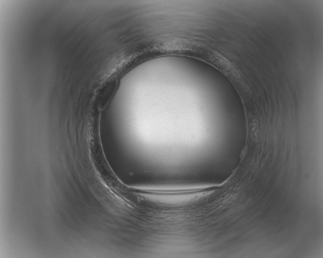 X0000061730732200512161621