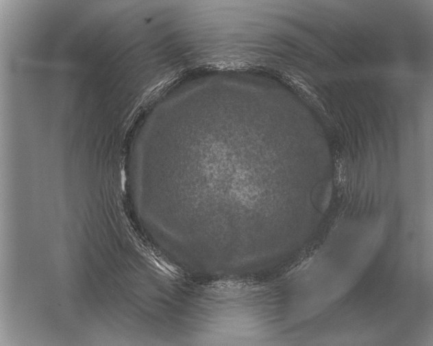 X0000061730733200512161621