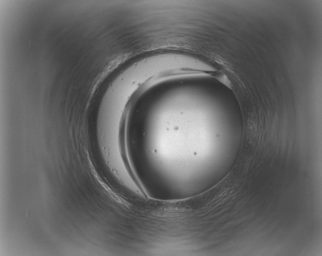 X0000061730734200512161621