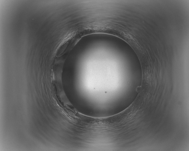 X0000061730735200512161621