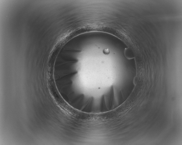 X0000061730736200512161622