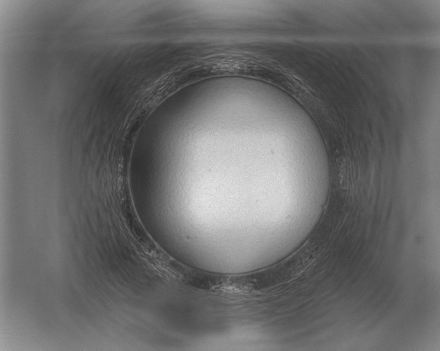 X0000061730737200512161622