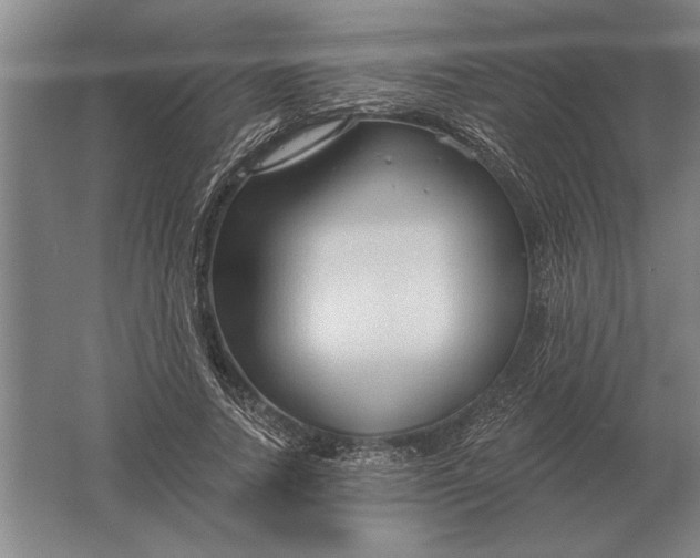 X0000061730738200512161622