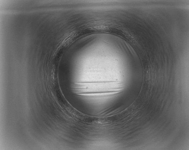 X0000061730739200512161622