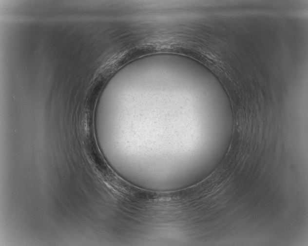 X0000061730740200512161622