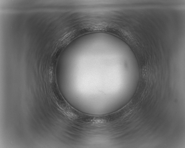 X0000061730741200512161622