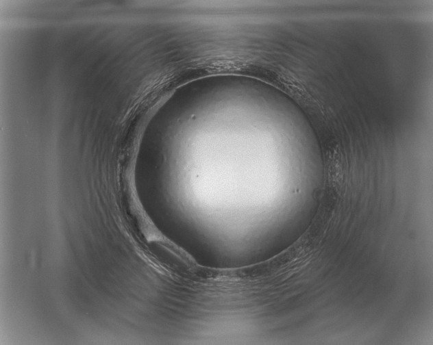 X0000061730742200512161622