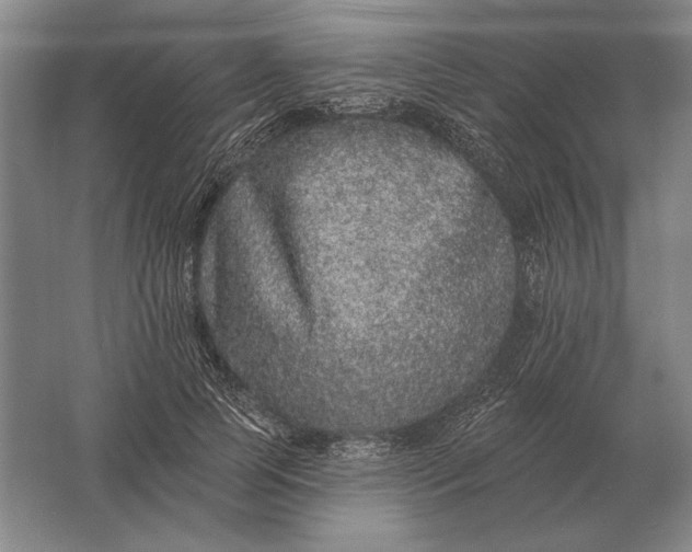 X0000061730745200512161622