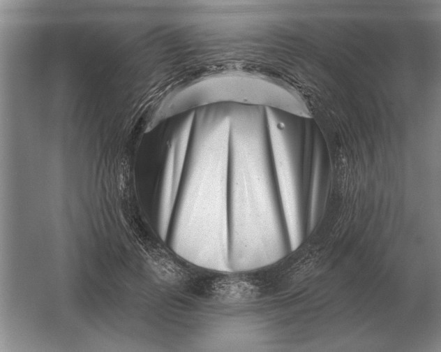 X0000061730747200512161622