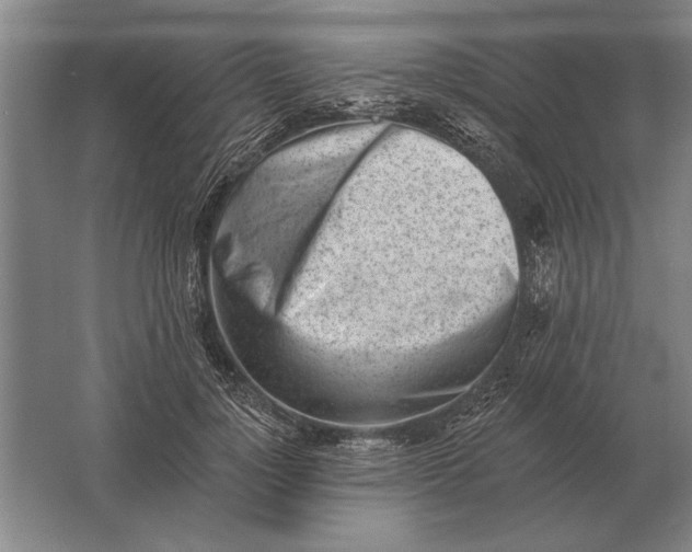 X0000061730748200512161622