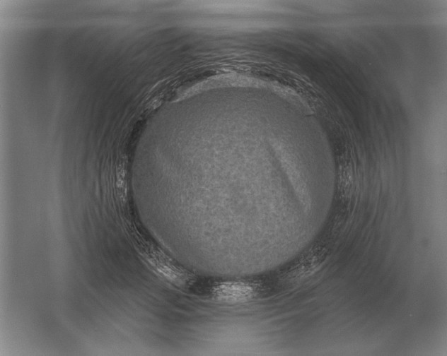 X0000061730749200512161622