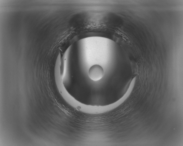 X0000061730750200512161622