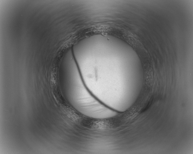 X0000061730755200512161622