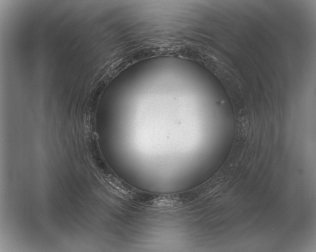 X0000061730756200512161622