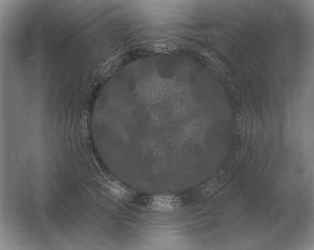 X0000061730757200512161622