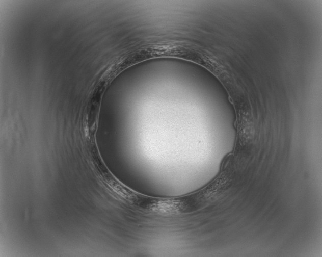 X0000061730758200512161622