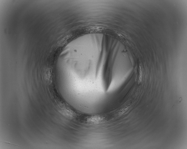 X0000061730759200512161622