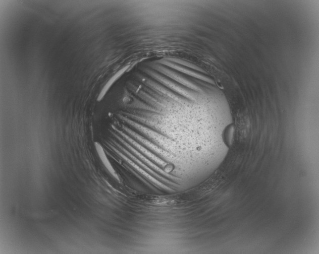 X0000061730760200512161622