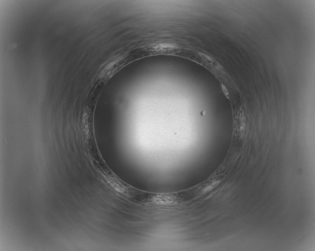 X0000061730762200512161622