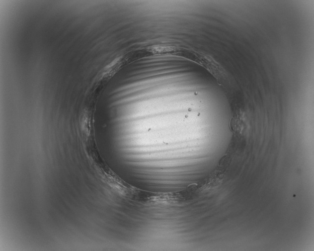 X0000061730763200512161622