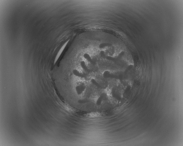 X0000061730765200512161622