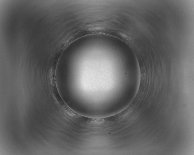 X0000061730767200512161622