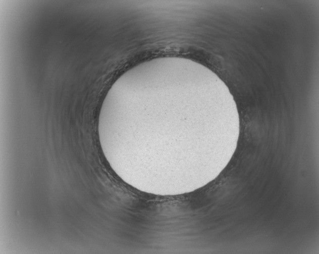 X0000061730769200512161621