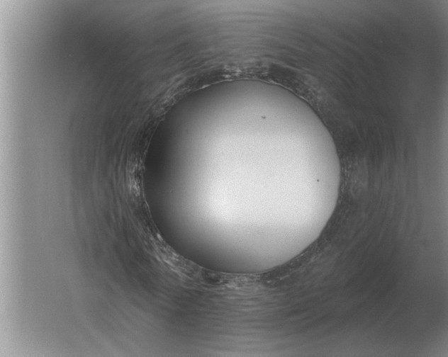 X0000061730770200512161621