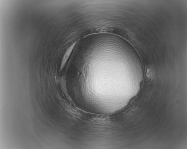 X0000061730771200512161621