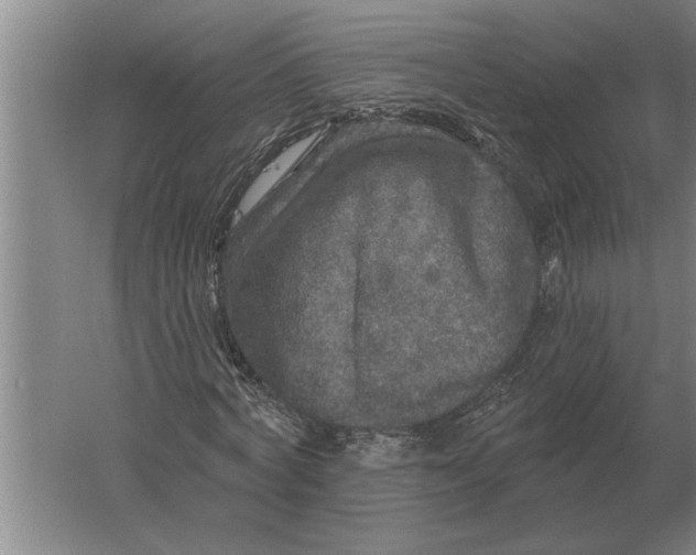 X0000061730772200512161621