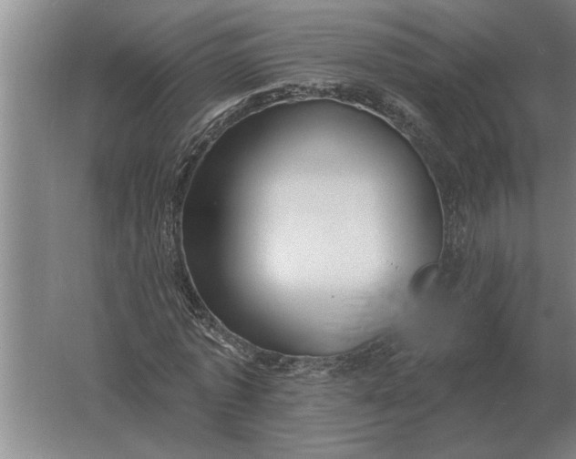 X0000061730773200512161621