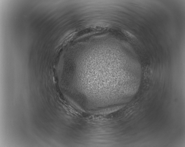 X0000061730774200512161621