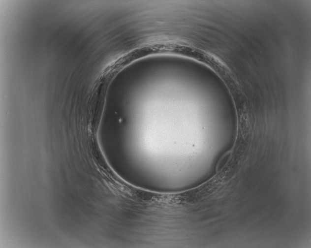 X0000061730775200512161621