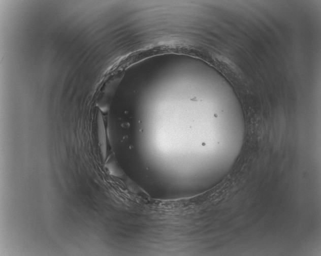 X0000061730776200512161621