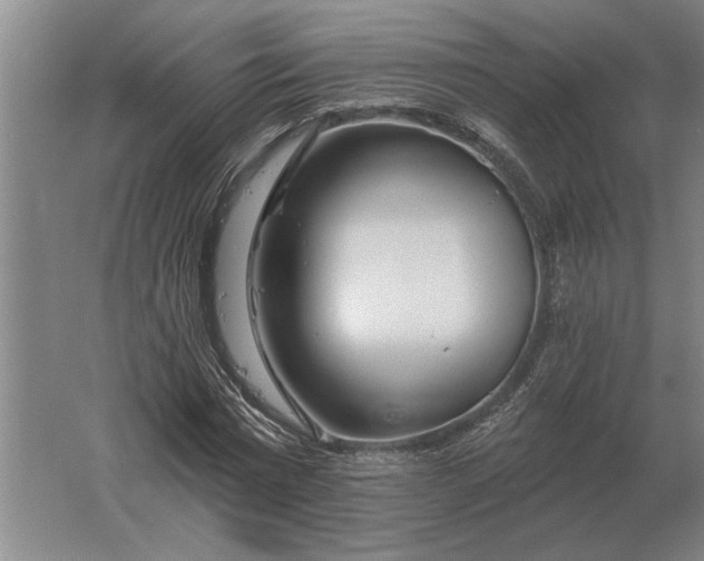 X0000061730777200512161621