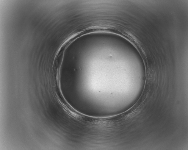 X0000061730779200512161621