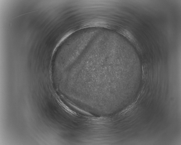 X0000061730780200512161621