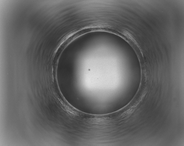 X0000061730781200512161621