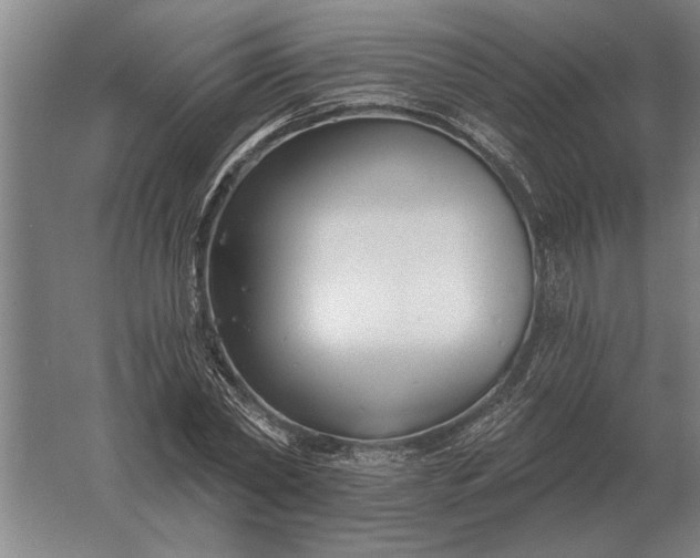 X0000061730782200512161621