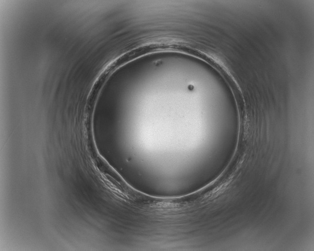 X0000061730783200512161621