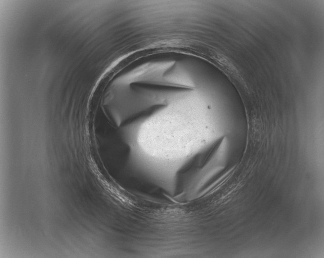 X0000061730784200512161621